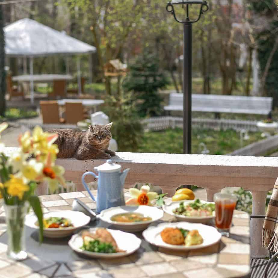 Ресторани та кафе з літніми майданчиками в Одесі