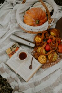 фліс
