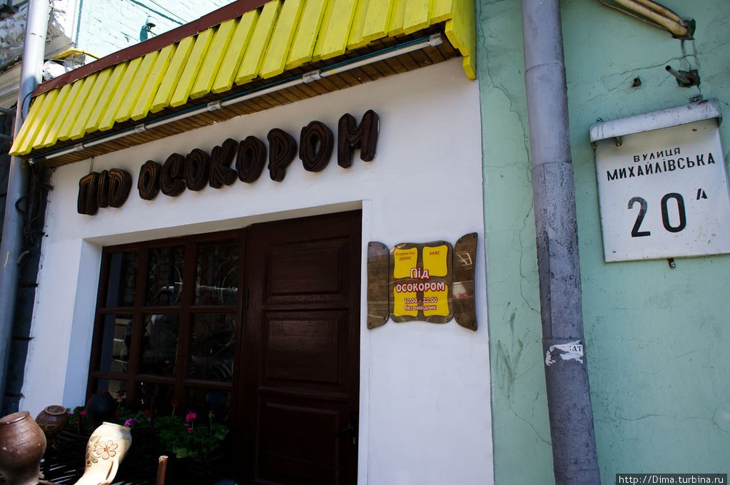 Под осокором