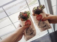 Bubble Waffle