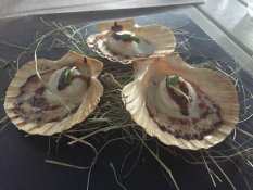 Champagne & Oyster