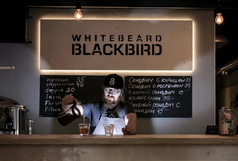 Whitebeard Blackbird