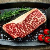 Казацкий стан