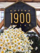 1900 Coffee Point