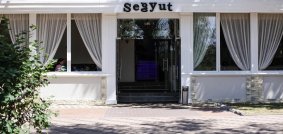 Segyut