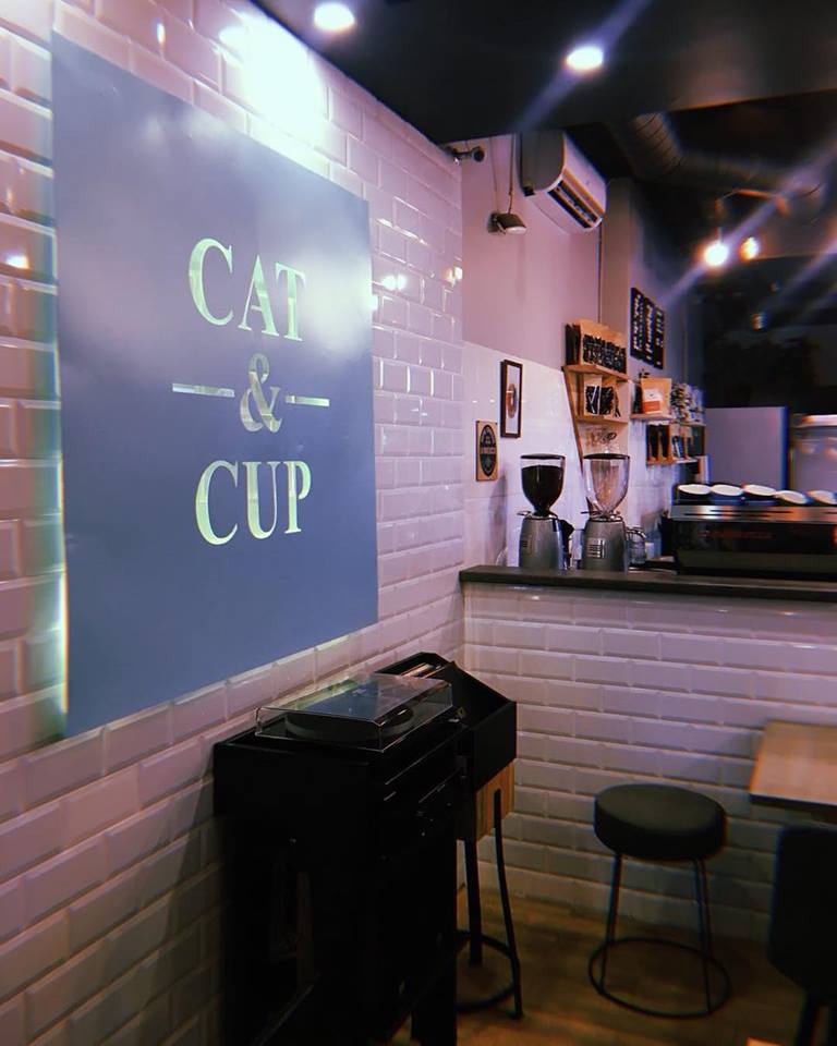 Cat & Cup