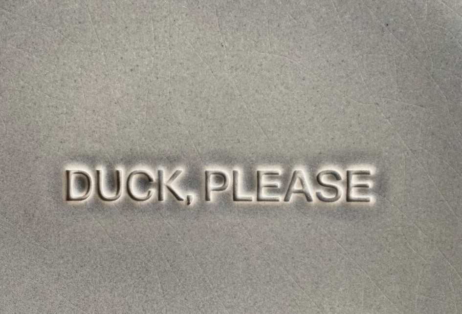 Duck, Please