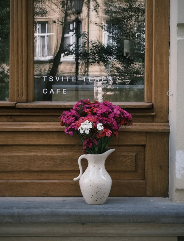 TSVITE TEREN CAFE