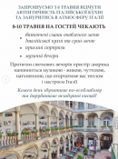 Borsch