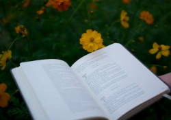 Book.ua