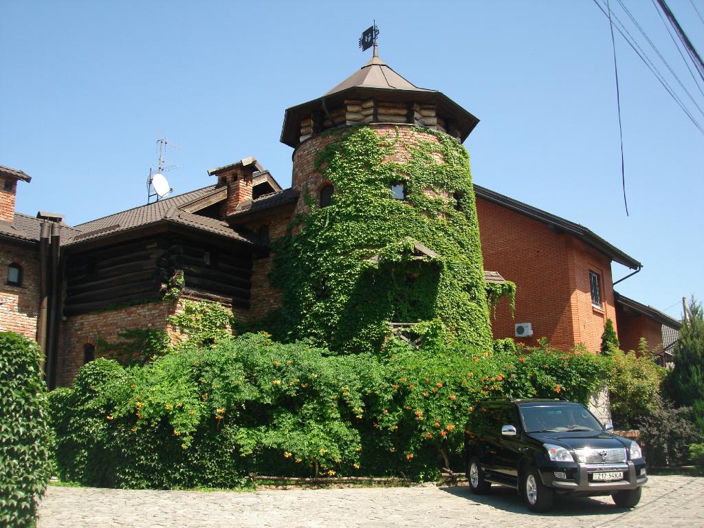 8 заведений в Днепре, куда можно сходить с домашними питомцами